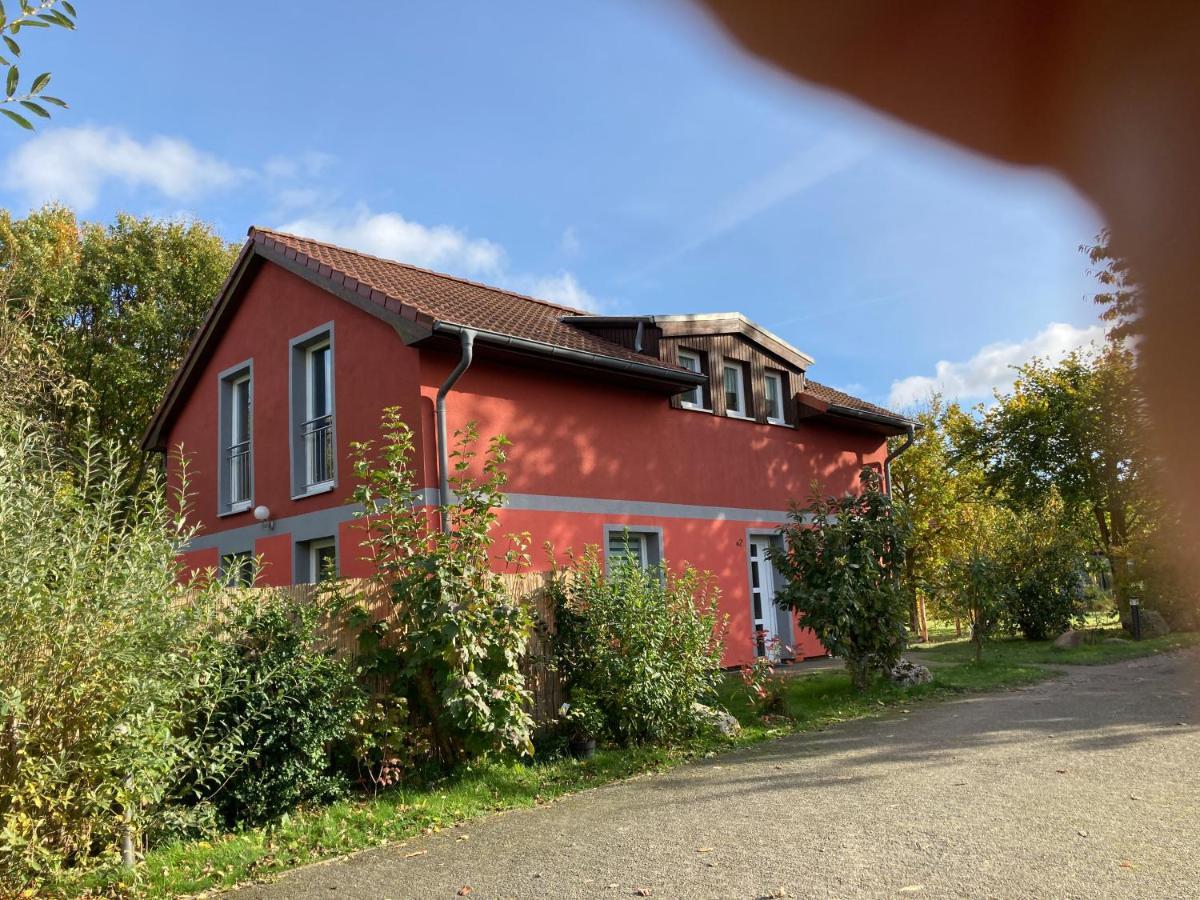 Urlaubsoase Ostsee Hohen Schoenberg Bagian luar foto