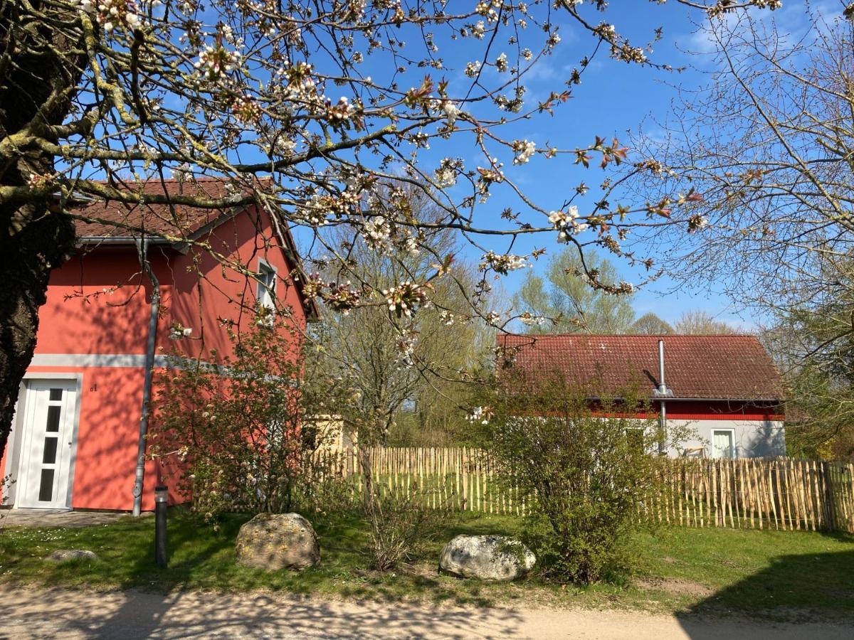 Urlaubsoase Ostsee Hohen Schoenberg Bagian luar foto
